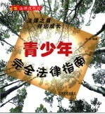 青少年完全法律指南