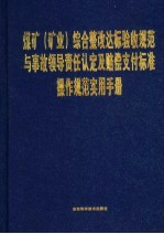 煤矿 矿业 综合整改达标验收规范与事故领导责任认定及赔偿支付标准操作规范实用手册 第2卷
