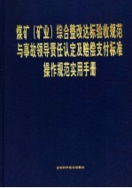 煤矿 矿业 综合整改达标验收规范与事故领导责任认定及赔偿支付标准操作规范实用手册 第1卷