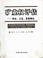 矿业权评估 理论、方法、参数概论
