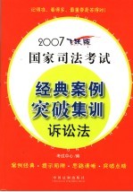诉讼法 飞跃版