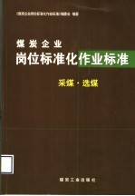 煤炭企业岗位标准化作业标准 采煤·选煤