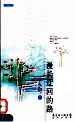 漫长迂回的路