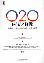 O2O应该这样做 向成功企业学O2O战略布局、实施与运营