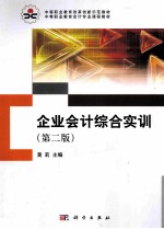 企业会计综合实训 第2版