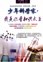 少年科学家·我是化学知识大王