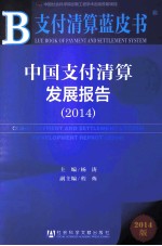 中国支付清算发展报告 2014