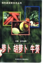 萝卜 胡萝卜 牛蒡