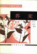 荞麦