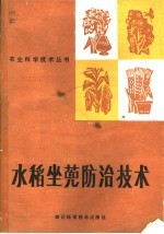 水稻坐蔸防治技术