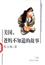 美国,爹妈不知道的故事 下部