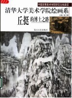 清华大学美术学院绘画系丘挺的博士之路