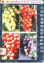大粒鲜食葡萄优质高产新技术