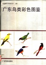 广东鸟类彩色图鉴