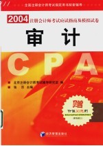 2004年注册会计师考试应试指南及模拟试卷 审计