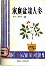 家庭盆栽人参
