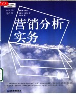 营销分析实务 第5版