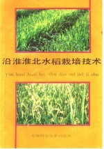 沿淮淮北水稻栽培技术