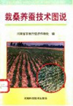 栽桑养蚕技术图说