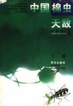 中国棉虫天敌 下