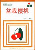 盆栽樱桃