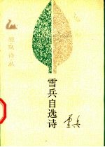 雪兵自选诗