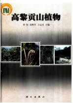 高黎贡山植物
