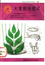 大麦栽培技术