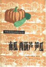 南瓜 西葫芦 笋瓜