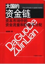 大国的资金链 资本市场中的资金流量和财富再分配
