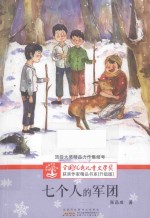 全国优秀儿童文学奖获奖作家精品书系 七个人的军团