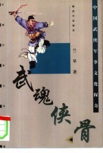 武魂侠骨 中国武侠军事文化探奇