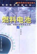 燃料电池 高效、环境友好的发电方式