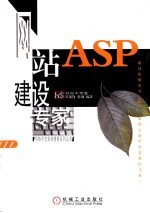 ASP网站建设专家