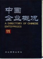 中国企业概况 11