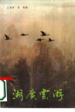 湖广云游