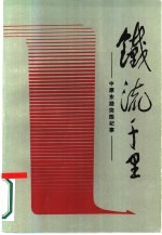 铁流千里 中原东路突围纪事
