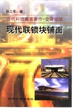 现代联锁块铺面