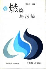 燃烧与污染