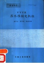 VVER 压水堆核电机组