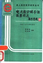 电大数学辅导课教案精选 线性代数与线性规划