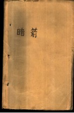 暗箭 国际恐怖活动的背后