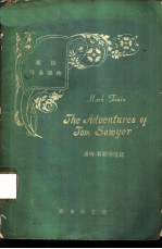 汤姆·索耶历险记