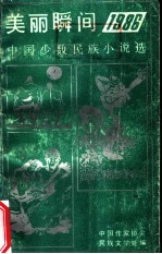 美丽瞬间 1986年中国少数民族小说选