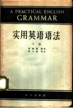 实用英语语法 下