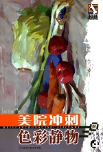 美院冲刺 色彩静物30例