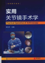 骨科精萃系列 实用关节镜手术学