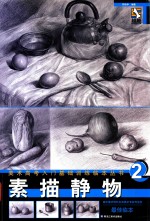 美术高考入门基础训练 2 素描静物