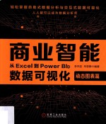 商业智能 从Excel到Power BI的数据可视化动态图表篇