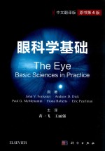 眼科学基础 中文翻译版